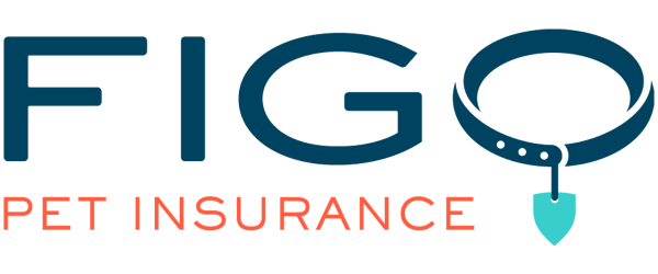 Pet Insurance Carrier